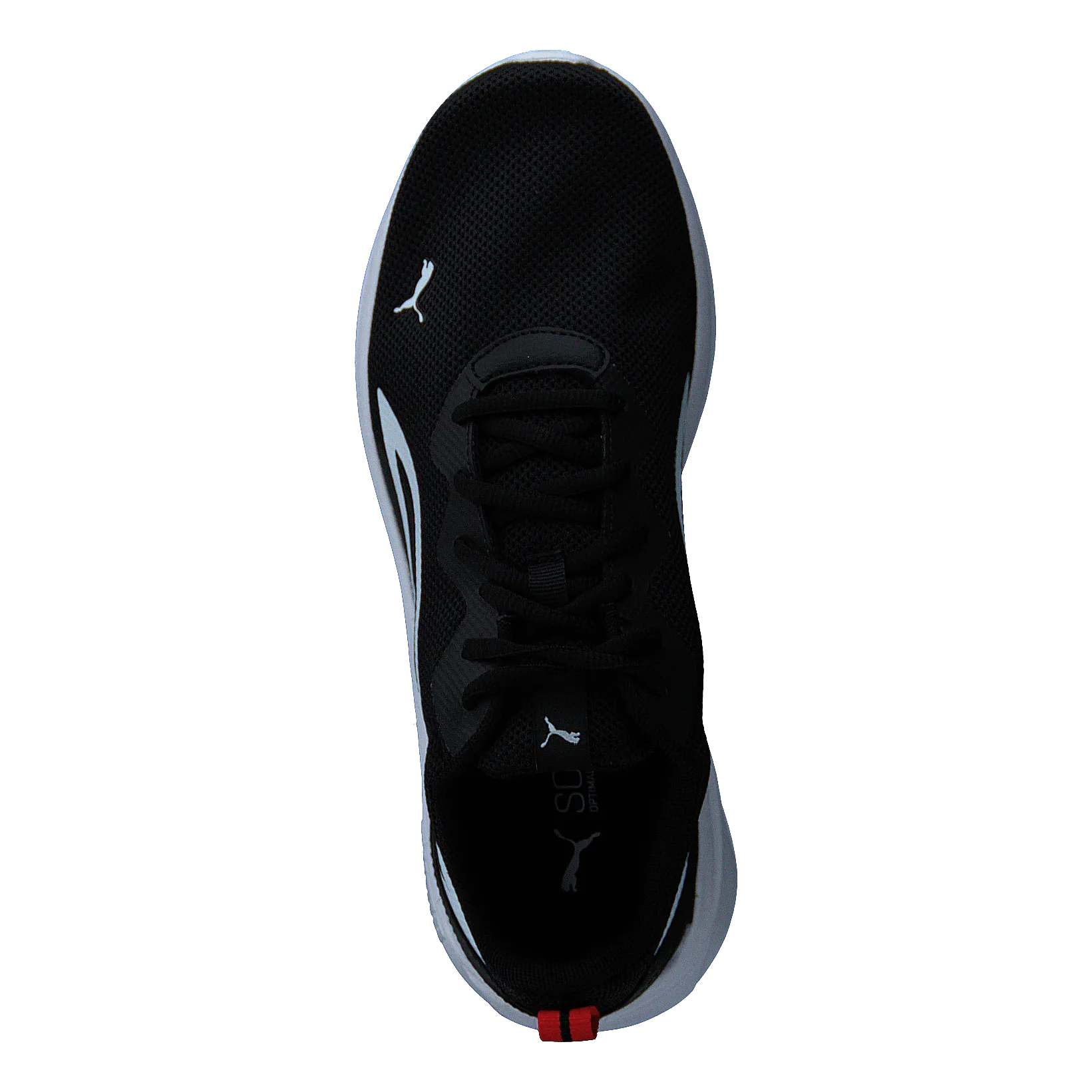 All-day Active Jr Puma Black-puma White