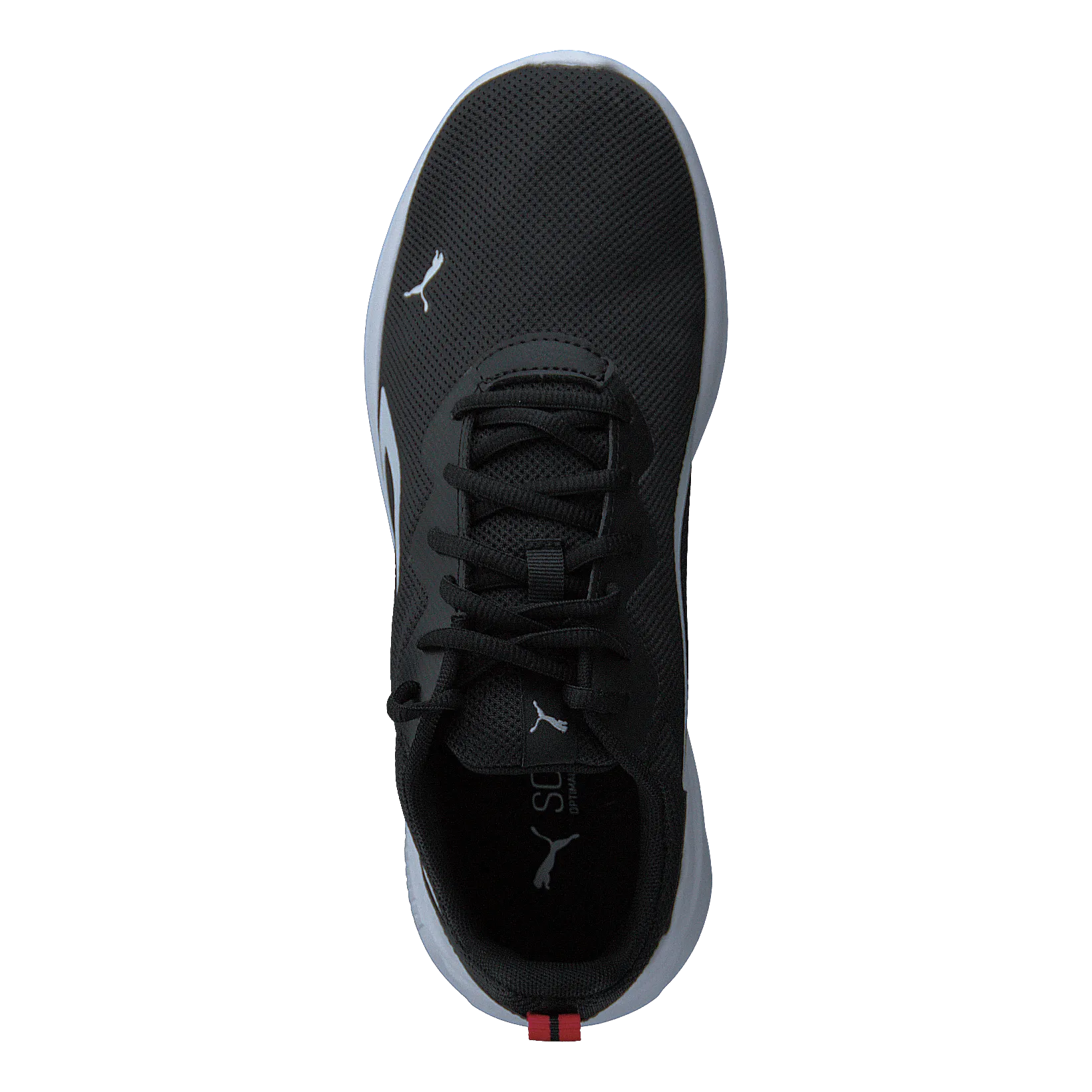 All-day Active Puma Black-puma White