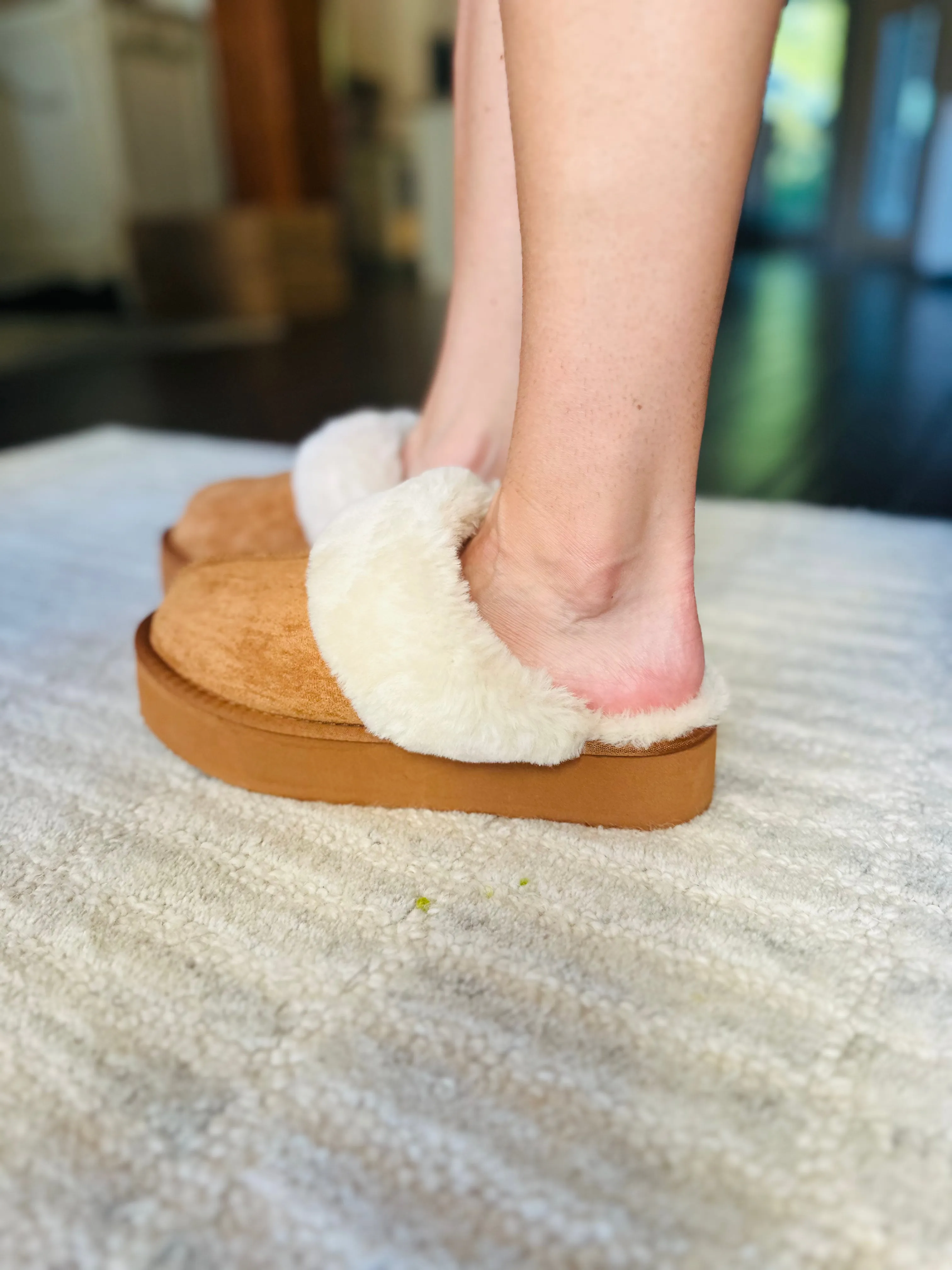 Darwin Slippers- Tan